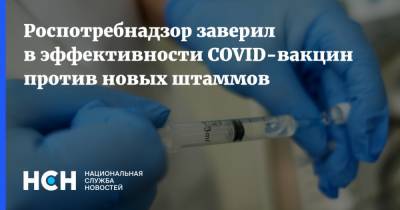 Наталья Пшеничная - Роспотребнадзор заверил в эффективности COVID-вакцин против новых штаммов - nsn.fm