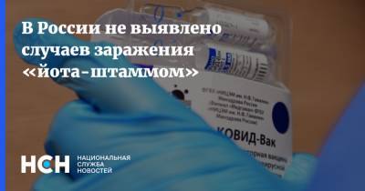 В России не выявлено случаев заражения «йота-штаммом» - nsn.fm - Россия