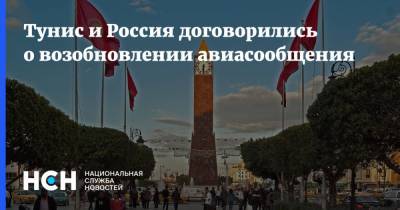 Тунис и Россия договорились о возобновлении авиасообщения - nsn.fm - Россия - Тунис - Тунисская Республика
