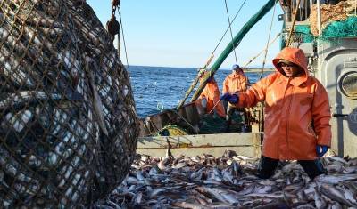 Поставки рыбы в Китай сократились почти вдвое после ужесточения проверок на COVID - newizv.ru - Россия - Китай