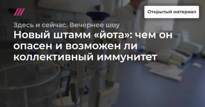 Новый штамм «йота»: чем он опасен и возможен ли коллективный иммунитет - tvrain.ru - Россия - Белоруссия - Литва