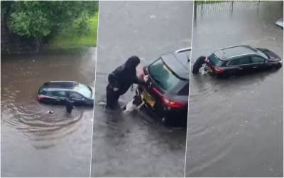 Вода по колено: пес помог женщине вытолкать автомобиль - zr.ru - Шотландия