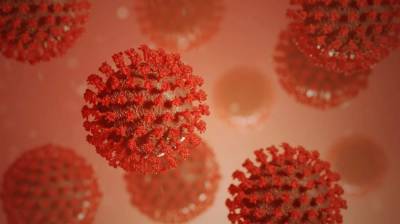 Названа новая уязвимость коронавируса - actualnews.org - Австрия