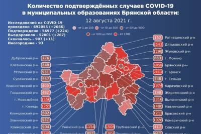 Более 52 тысяч брянцев побороли коронавирус с начала пандемии - mk.ru - Брянская обл.