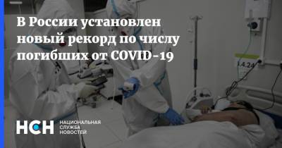 В России установлен новый рекорд по числу погибших от COVID-19 - nsn.fm - Россия