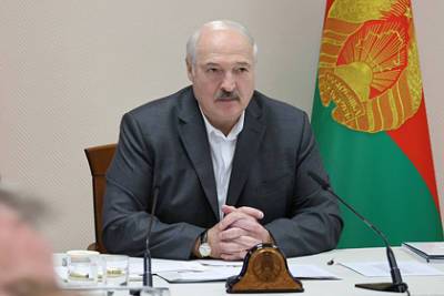 Александр Лукашенко - Лукашенко нашел способ получить сотни миллионов долларов - lenta.ru - Белоруссия