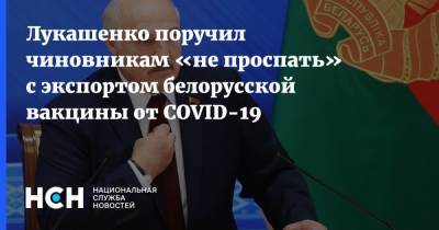 Александр Лукашенко - Лукашенко поручил чиновникам «не проспать» c экспортом белорусской вакцины от COVID-19 - nsn.fm - Белоруссия