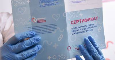 В Москве воспитательница предложила скинуться на поддельные COVID-сертификаты - moslenta.ru - Москва