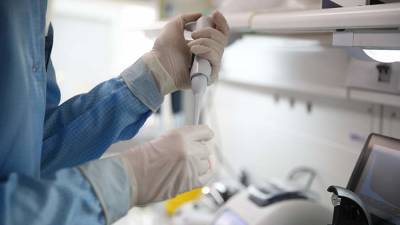 Вирусолог сообщил о необходимости верификации данных о штамме «йота» - iz.ru - Израиль