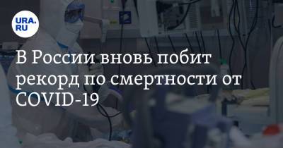 В России вновь побит рекорд по смертности от COVID-19 - ura.news - Россия