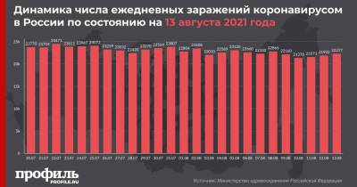 В России зарегистрировали рекордное количество смертей от коронавируса за сутки - profile.ru - Россия