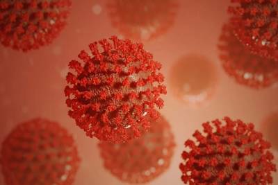 Китай отклонил запрос ВОЗ о новом расследовании происхождения коронавируса - versia.ru - Франция - Китай - Пекин