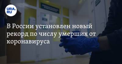 В России установлен новый рекорд по числу умерших от коронавируса - ura.news - Россия