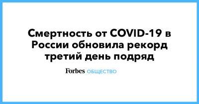 Смертность от COVID-19 в России обновила рекорд третий день подряд - forbes.ru - Россия