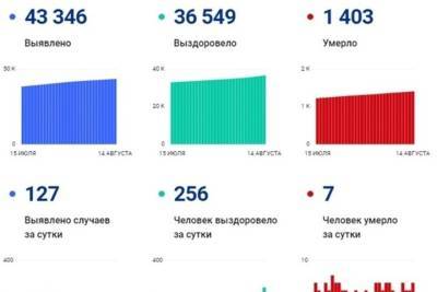 127 человек заболели коронавирусом за сутки в Смоленской области - mk-smolensk.ru - Смоленская обл.