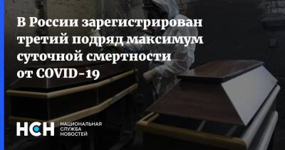 В России зарегистрирован третий подряд максимум суточной смертности от COVID-19 - nsn.fm - Россия