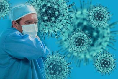 За сутки в Пензе зарегистрировано 178 новых случаев коронавируса - mk.ru - Пенза