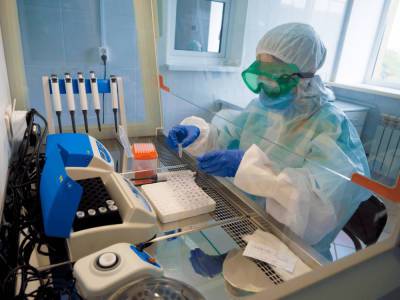 В Башкирии открылась еще одна лаборатория ПЦР-диагностики - bash.news - республика Башкирия - Сибай