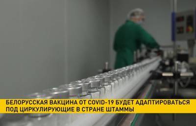 Белорусская вакцина от COVID-19 будет адаптироваться под циркулирующие в стране штаммы - ont.by - Белоруссия