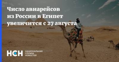 Число авиарейсов из России в Египет увеличится с 27 августа - nsn.fm - Россия - Москва - Египет - с. 27 Августа
