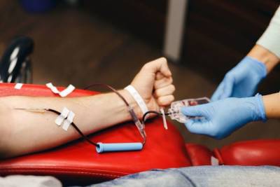 Петербуржцам рассказали, где можно сдать кровь в рамках донорской акции - spb.mk.ru - Санкт-Петербург - Пресс-Служба