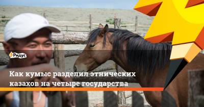 Как кумыс разделил этнических казахов на четыре государства - ridus.ru - Казахстан - Монголия