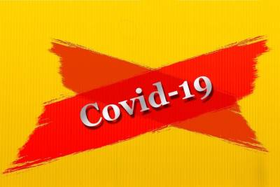 COVID-19 в Бурятии: умерло 2 пациента, заболели – 113 - ulan.mk.ru - республика Бурятия - Улан-Удэ