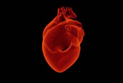 Британские ученые нашли способ точно вычислить риск сердечного приступа или инсульта - bloknot.ru - Англия