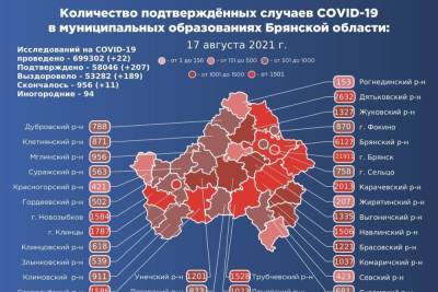 Более 58 тысяч брянцев заразились коронавирусом с начала пандемии - mk.ru - Брянская обл.