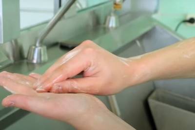 Пол Хаммонд - Американские физики рассказали о правилах антивирусного мытья рук - mk.ru - Сша