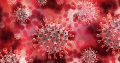 Российские ученые нашли подавляющие коронавирус бактерии - ren.tv