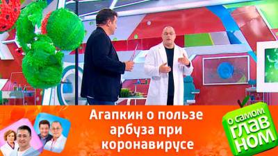 Сергей Агапкин - О самом главном. Почему при коронавирусе нужно есть арбузы - vesti.ru - Россия