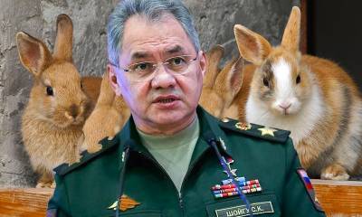 Сергей Шойгу - «Но зачем тебе десять кроликов?»: Шойгу назвал возможную причину гибели человечества - bloknot.ru - Россия