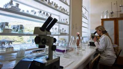 Ученые разрабатывают средство от тромбоза при COVID-19 из водорослей - iz.ru - Израиль
