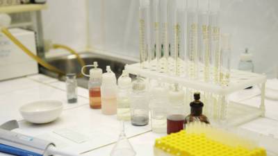 Ученые разрабатывают препарат от тромбоза из водорослей - mir24.tv