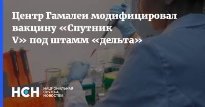 Александр Гинцбург - Центр Гамалеи модифицировал вакцину «Спутник V» под штамм «дельта» - nsn.fm - Россия