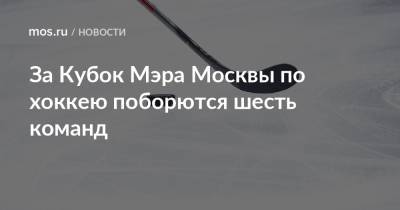 За Кубок Мэра Москвы по хоккею поборются шесть команд - mos.ru - Москва - Московская обл.