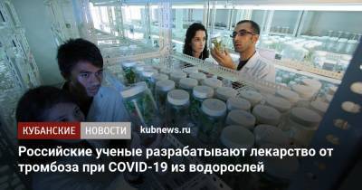 Российские ученые разрабатывают лекарство от тромбоза при COVID-19 из водорослей - kubnews.ru
