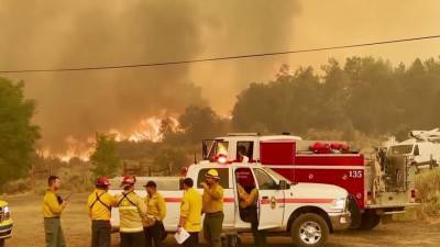 В штате Калифорния уже почти месяц бушует рекордный лесной пожар - 1tv.ru - штат Калифорния