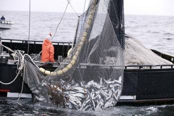 Ловись, рыбка: Китай хочет получить права на бесплатный вылов рыбы - vologda-poisk.ru - Россия - Китай
