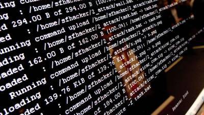 В МВД указали на рост числа киберпреступлений - iz.ru - Россия - Израиль