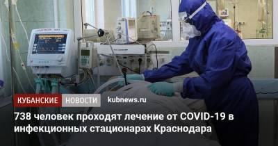 Светлана Харламова - 738 человек проходят лечение от COVID-19 в инфекционных стационарах Краснодара - kubnews.ru - Краснодарский край - Краснодар
