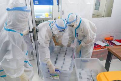 Майкл Маккол - В Конгрессе США предположили, что коронавирус утек из лаборатории Уханя - mk.ru - Сша - Ухань