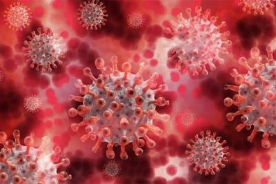 Ученые нашли причины невосприимчивости некоторых людей к новому коронавирусу - tayga.info - Россия