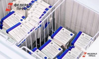 В Челябинскую область завезли еще одну партию «Спутник Лайт» - fedpress.ru - Челябинская обл.
