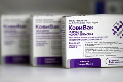 Названа предельная цена российской вакцины от коронавируса - lenta.ru