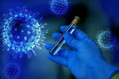 Ученые сняли видео, на котором видно, как коронавирус распространяется в организме и поражает органы - mk.ru - Германия - Канада