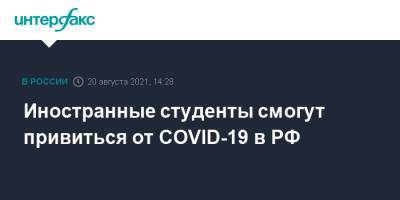 Валерий Фальков - Иностранные студенты смогут привиться от COVID-19 в РФ - interfax.ru - Россия - Москва