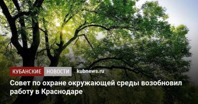 Совет по охране окружающей среды возобновил работу в Краснодаре - kubnews.ru - Краснодарский край - Краснодар