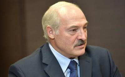 Александр Лукашенко - Лукашенко заявил, что поправки в конституцию нужны, чтобы в Белоруссии не было застоя - argumenti.ru - Белоруссия